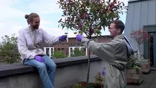 Olly's Farm & Teeling Whiskey Distillery World Bee Day 2021