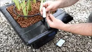 How to test pH in a Hydroponic system