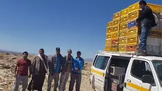 تدريب الحمام الزاجل من 17كيلوومن 50كيلو