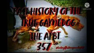 APBT   Don Mayfield On Pit General Getting Stolen