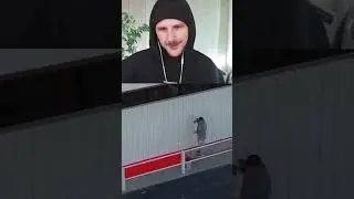 ЮНИ про ЖИЗНЬ в МАГАЗИНЕ
