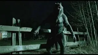 New TERRIFYING Videos That Will Make YOU Question Reality!