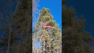 В машине холоднее чем на улице 😆 