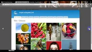 Unite Gallery   Drupal Module