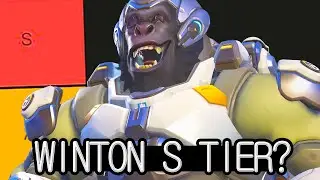 WINTON S TIER??? NEW MID SEASON TOP500 TIER LIST - Overwatch 2