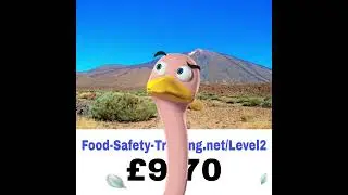 Food Safety and Sanitation Certification