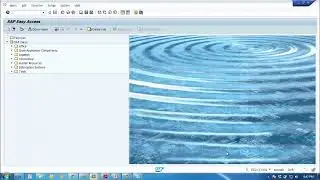 SAP BASIS COURSE: Lec 24. Setup RFC Connections.