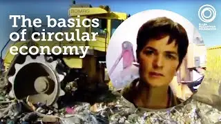 Circular Economy Explained: What Is It & Why Is It Important?