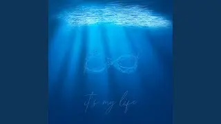 IT'S MY LIFE