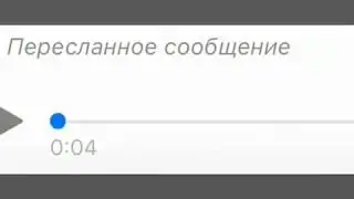 Пьяный мастер
