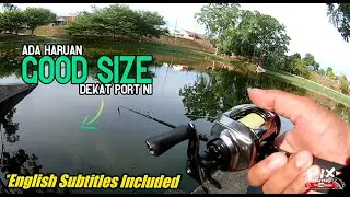 Casting Haruan Dapat Size Elok! [V#15] Casting Snakehead! Got Good Size!