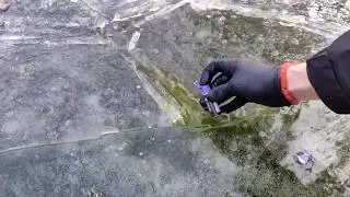 ПРЯМ В РОТ ЗАЛЕТЕЛА