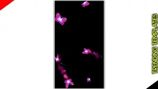 Template Video Background Full Screen | Butterfly Effect | Kinemaster Template Black Screen