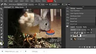 Lesson 4: multi-step processes in Photopea