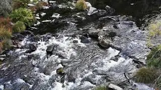 Rio Paiva