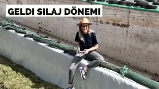 ÇİFTLİKTE OT SİLAJI DÖNEMİMİZ GELDİ🤍