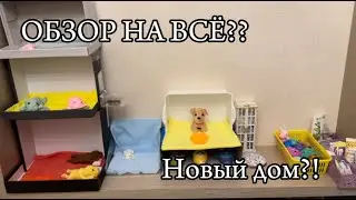 СКВИШ СОБАЧКИ|Обзор на всё что есть😱