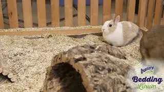 Bunny Nature - BunnyBedding Linum
