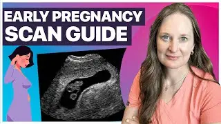 Understand Your First Trimester Ultrasound | Early Pregnancy Scan Guide