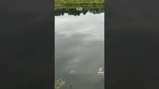 Анекдот про рыбалку и желания