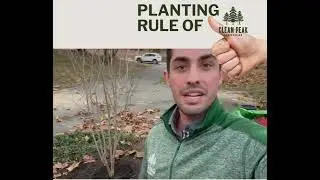 Planting Rule of Thumb...HOW FAR ABOVE GROUND TO PLANT