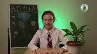 Программа 