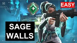 BEGINNER SAGE WALLS FOR ABYSS 