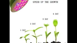 LED Plant Grow Light from Kiartten, 3 M Long Power Cord Included