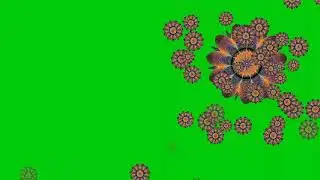Flowers green screen effects rose green screen effects rose green screen effects rose green screen