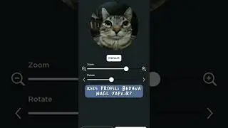Roblox'ta Kedi Profili Bedavaya Nasıl Yapılır? ☆ #roblox #freerobux #freehair #cat #fyp #shorts