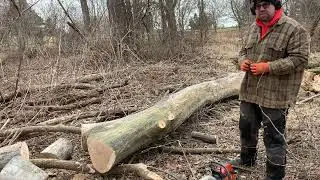 1 year with Husqvarna 550 XPG