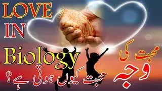 LOVE IN BIOLOGY | Why We Feel Love with Someone | Mohabbat Kyun Hoti hay