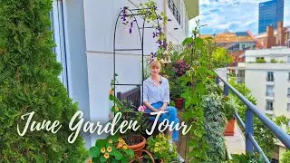June Tour Of My PERENNIAL Container Garden