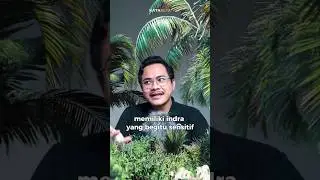 vegan kalau ga makan sayur disebut apa?
