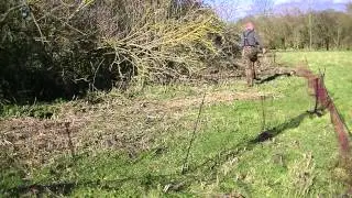 Ferreting Single Handed - East Anglian Pest Control