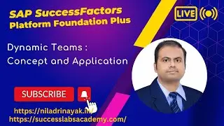 Unlocking Dynamic Teams in SAP SuccessFactors - Empower Your Organization for Success