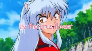 my intro | Lily the lotus flower