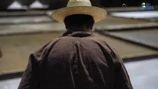 Experiências Turísticas - Salinas de Rio Maior