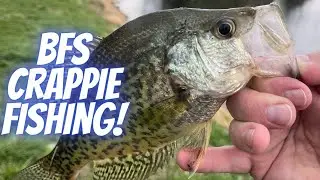 BFS Crappie fishing at the August A. Busch Memorial Conservation Area