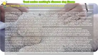 How to : Treat canine cushing's disease: dog illness