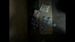 ДЕРАТИЗАЦИЯ 1