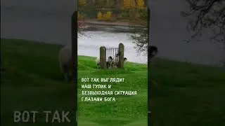 #мотивация #вселенная #всебудетхорошо #любовь #бог #подсказкивселенной
