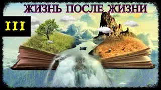 Жизнь после Жизни (часть 3): Финал