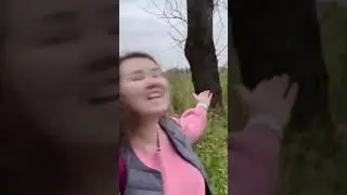 #данонфлекс  #сигма