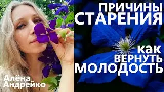 Причины старения. Как вернуть Молодость