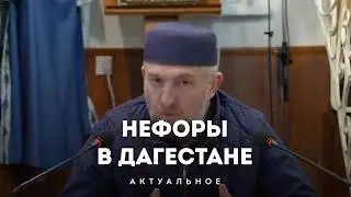 нефоры  в Дагестане