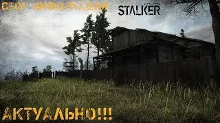 Прохождение квестов Stalker Online Сбор Информации [АКТУАЛЬНО]