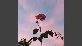 1nonly - Forever In Love (Instrumental)