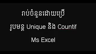 រាប់ចំនួនតាមប្រភេទ ដោយប្រើ Unique និងCount if | by Teacher Dany