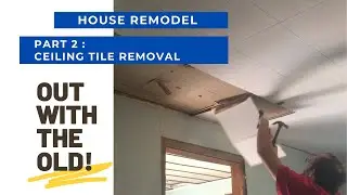 DEMO DAYS CONTINUE/ CEILING TILE REMOVAL